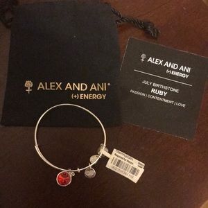 Alex and ani ruby silver bangle